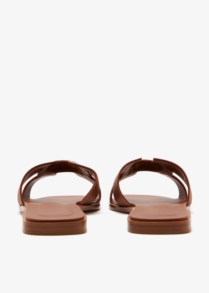 pldornlsndl01-brown_5.jpg?ts=20251021030733
