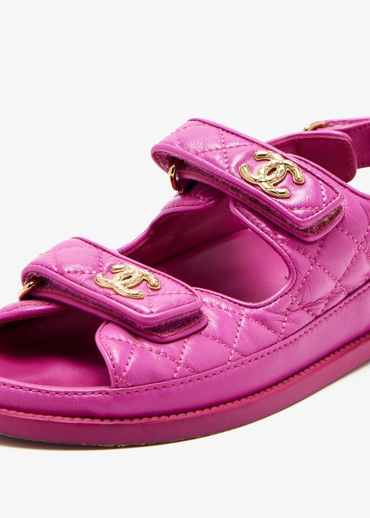 pldsdkddl71-purple_2.jpg?ts=20251021111126