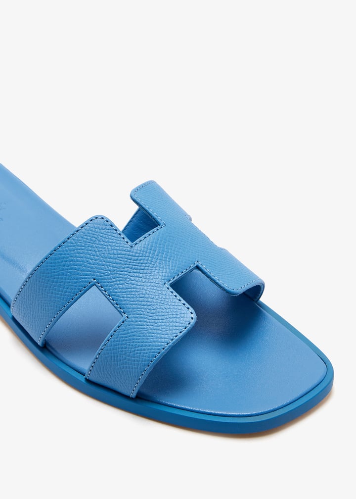 pldsdlor-blue_2.jpg?ts=20260309150644