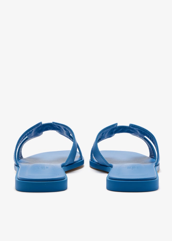 pldsdlor-blue_5.jpg?ts=20260309150644