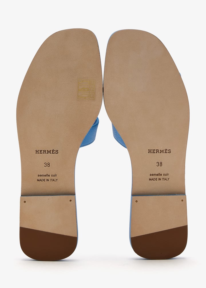 pldsdlor-blue_6.jpg?ts=20260309150644