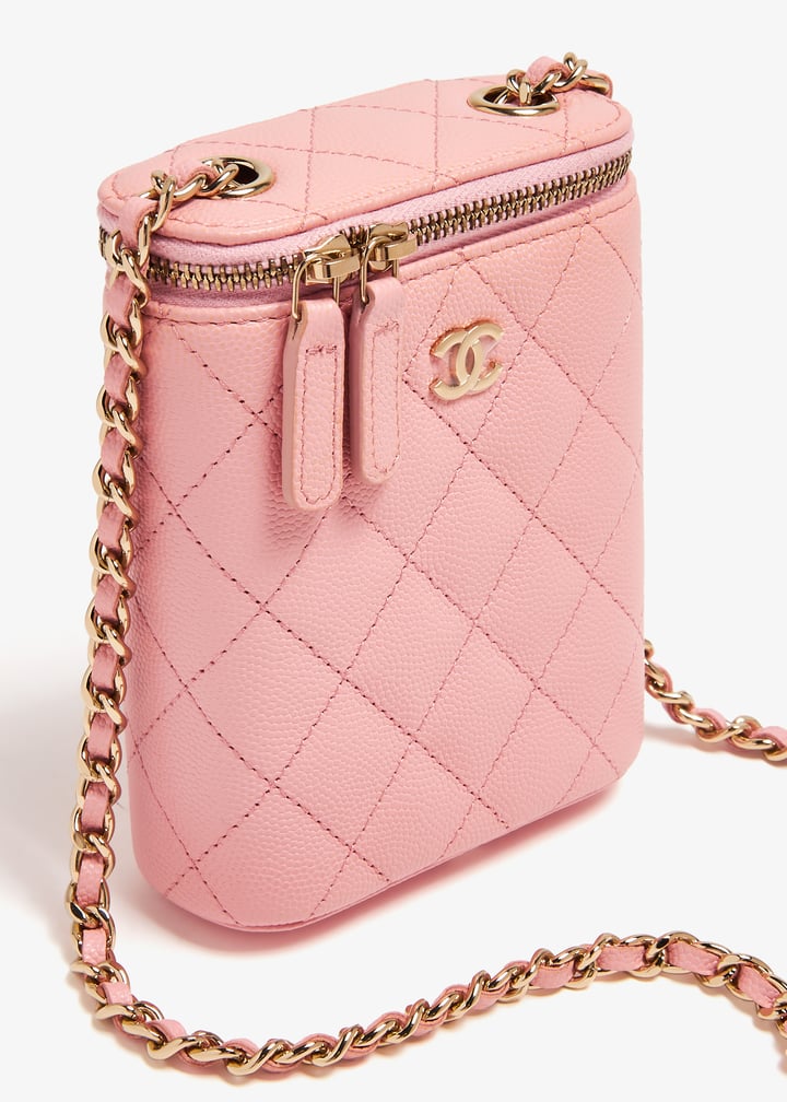 pldvanitybagpink001_3.jpg?ts=20240202030520