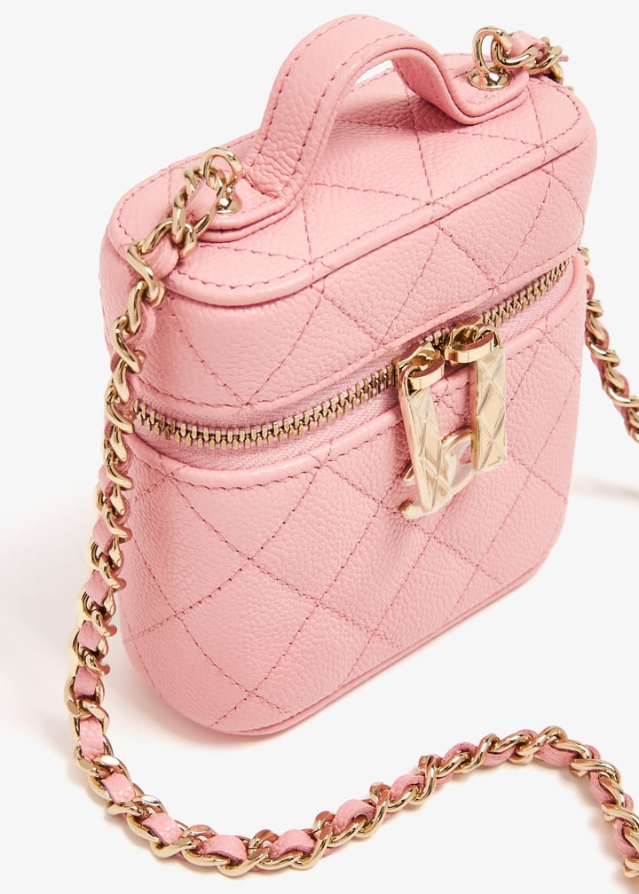 pldvanitybagpink002_3.jpg?ts=20240202030520