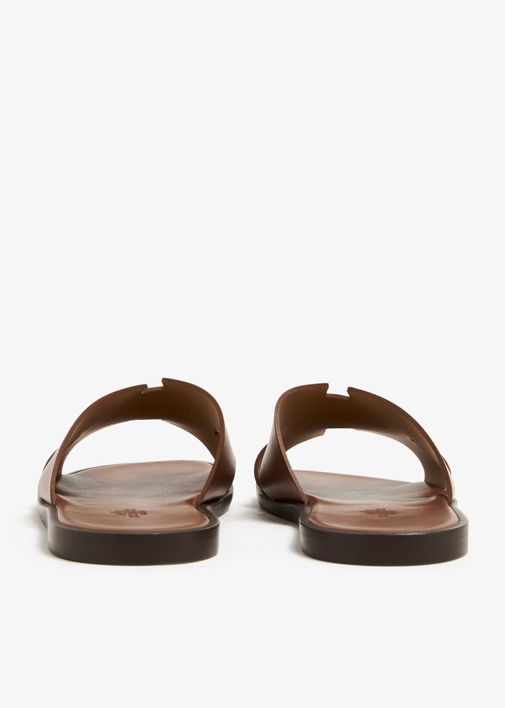 plllvd-6963-brown_5.jpg?ts=20231124034143