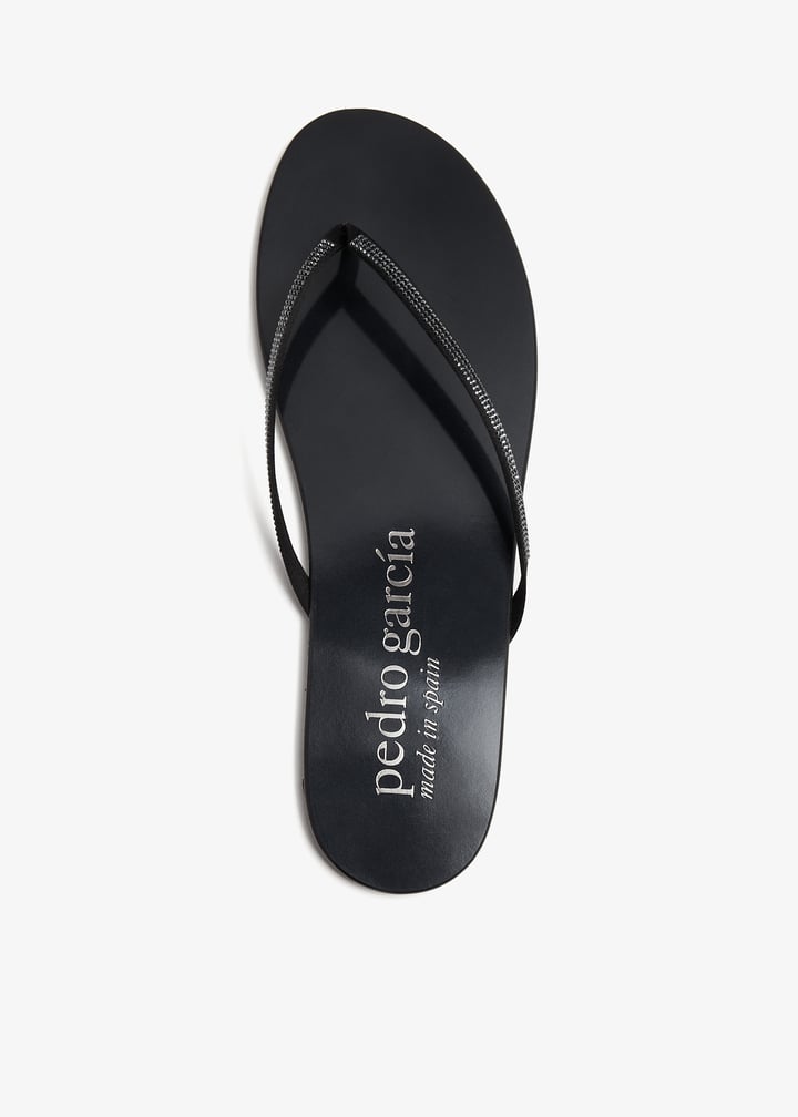 prune-ir-v24-obsidi_1.jpg?ts=20231230030517