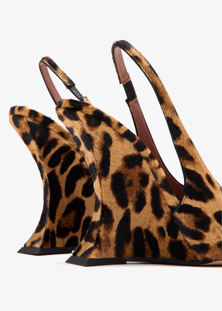 px1927-xprch-natleo_5.jpg?ts=20251018031600