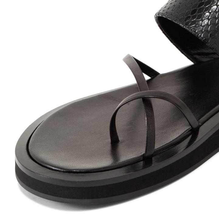 px568-xpnpp-nero_3.jpg?ts=20220505184408