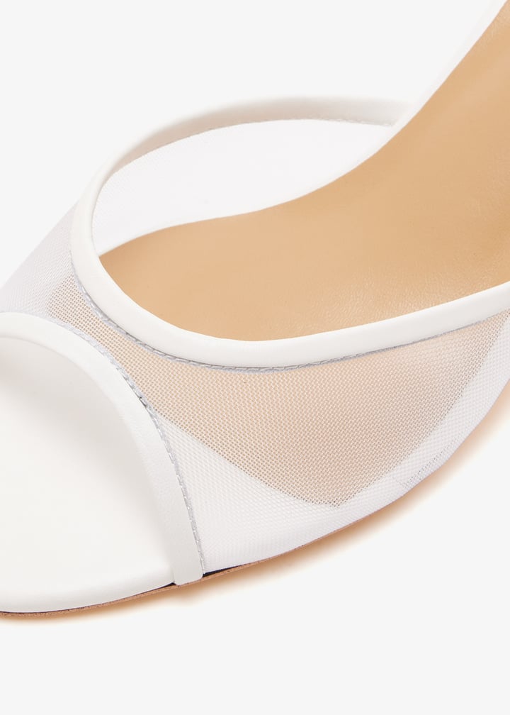 rancher-whnywh_5.jpg?ts=20251104154633