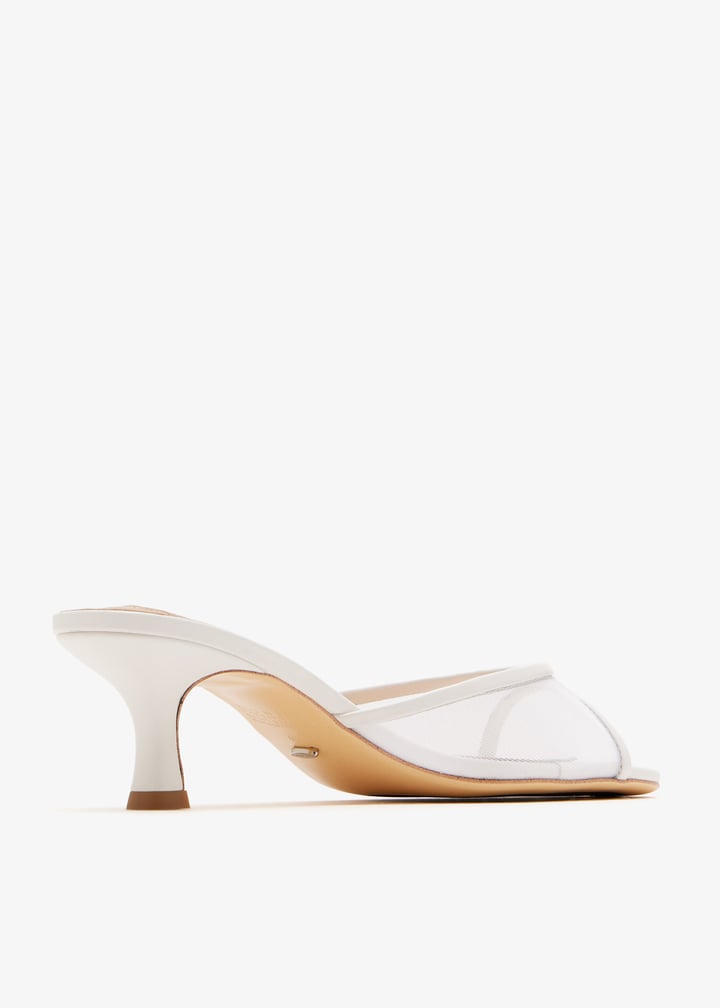 rancher-whnywh_6.jpg?ts=20251104154633