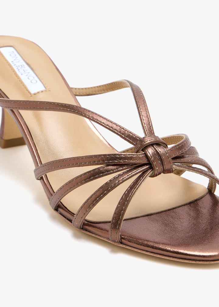 rosa-chcmtl_5.jpg?ts=20251114031625