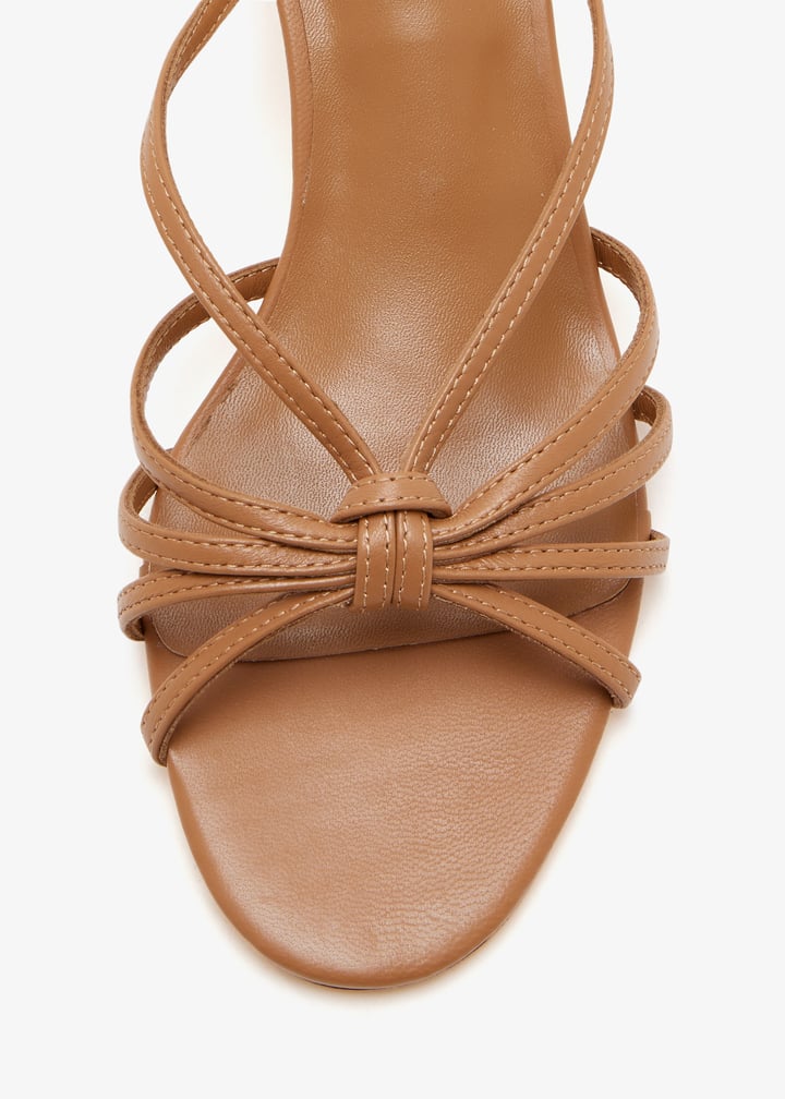 rosa-tannpa_5.jpg?ts=20251025032529