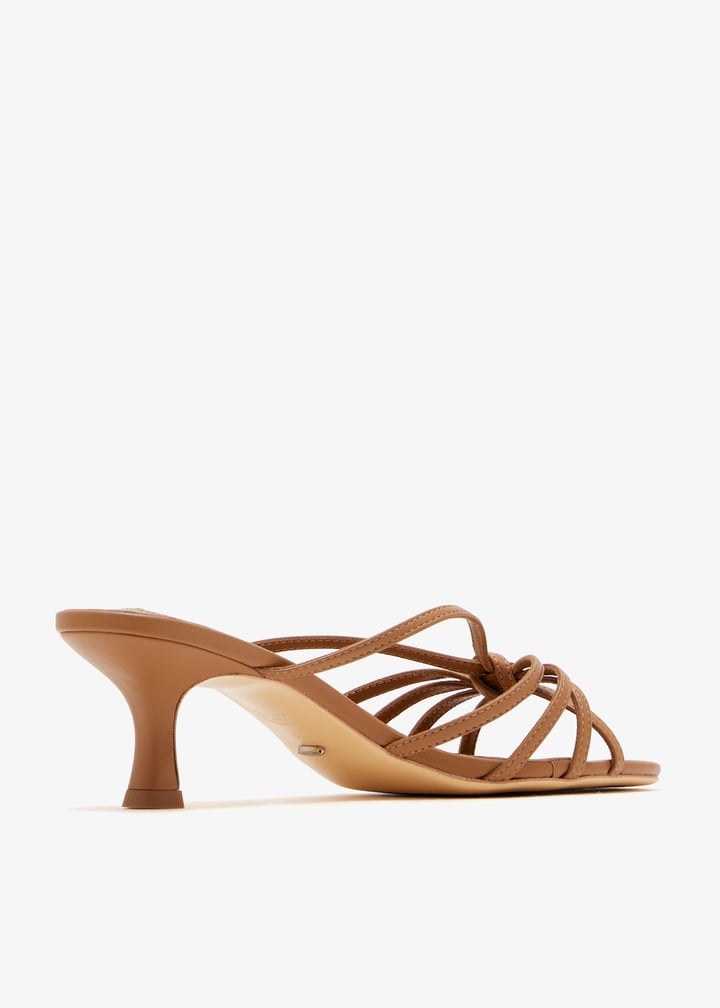 rosa-tannpa_6.jpg?ts=20251025032529