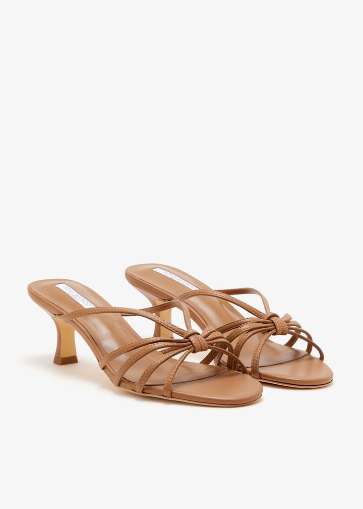 rosa-tannpa_7.jpg?ts=20251025032529