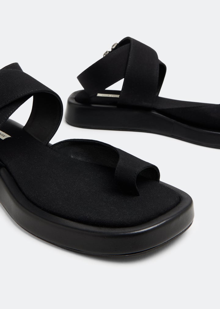 rosie-4-5000_3.jpg?ts=20230411030510