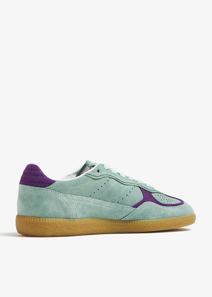 s100471-07_4.jpg?ts=20240120030524