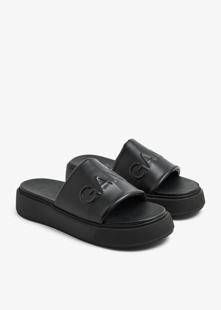 s1817-099_5.jpg?ts=20240829033110