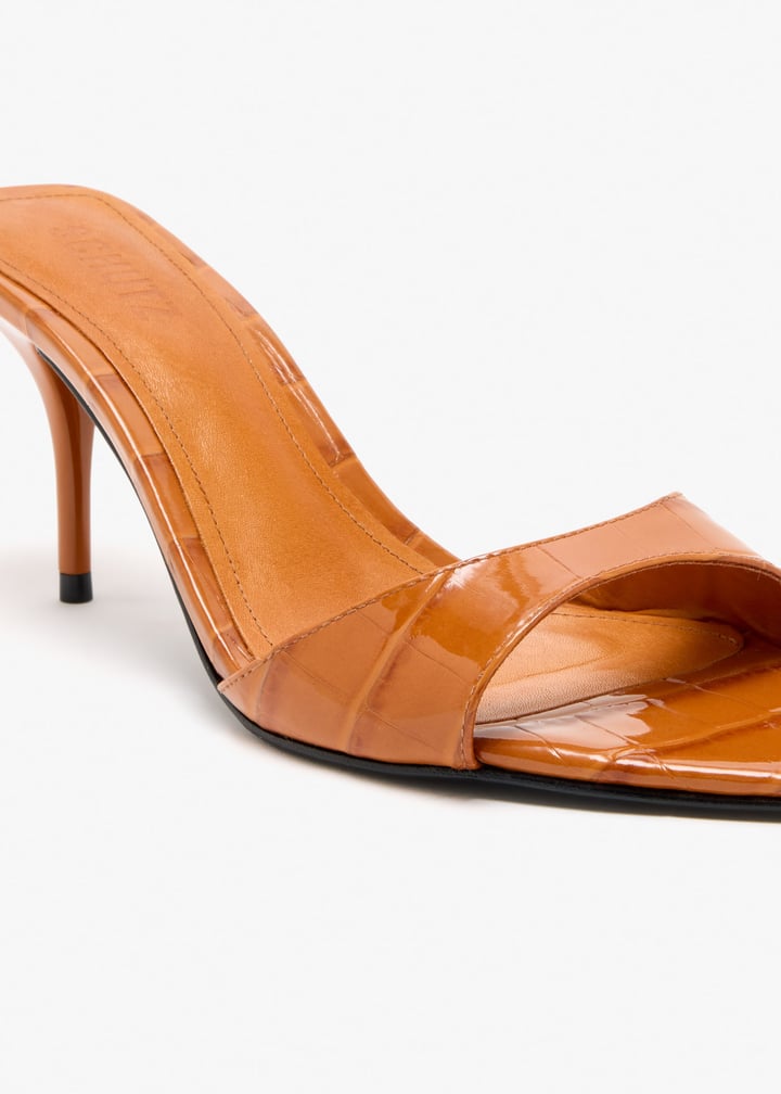 s2194900010060-x2fx1_5.jpg?ts=20260110021208