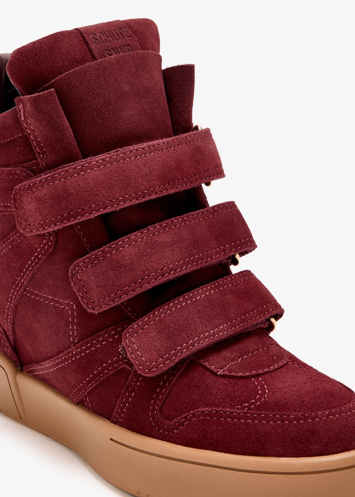 s2247400010003-x2f0b-x7_5.jpg?ts=20250819030636