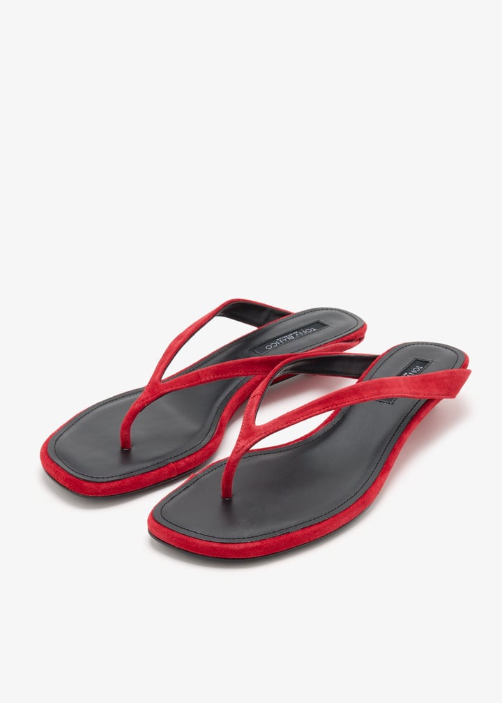 sally-redsud_7.jpg?ts=20261009020707