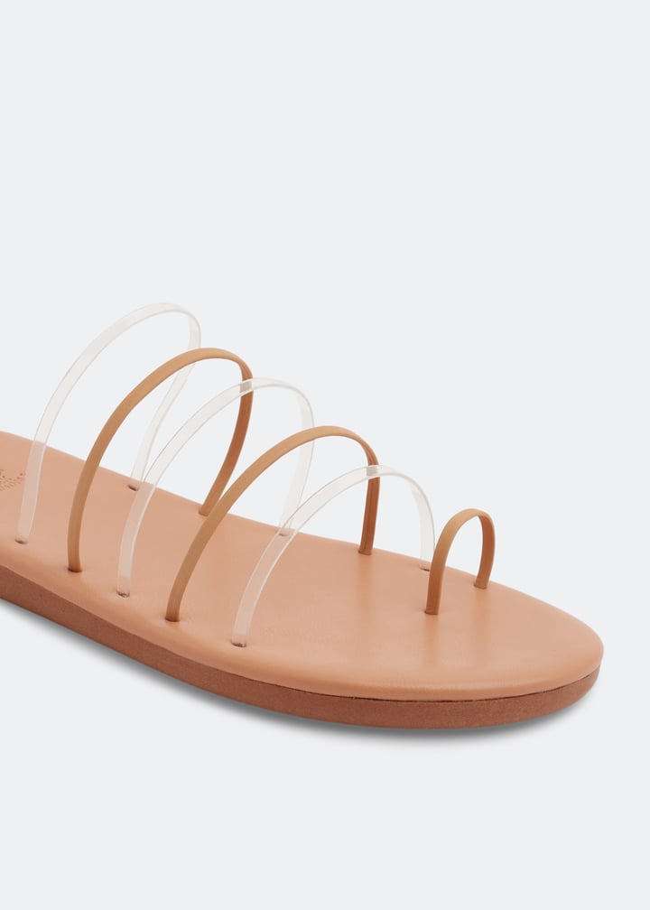 sanni-clrntl_3.jpg?ts=20220628030516