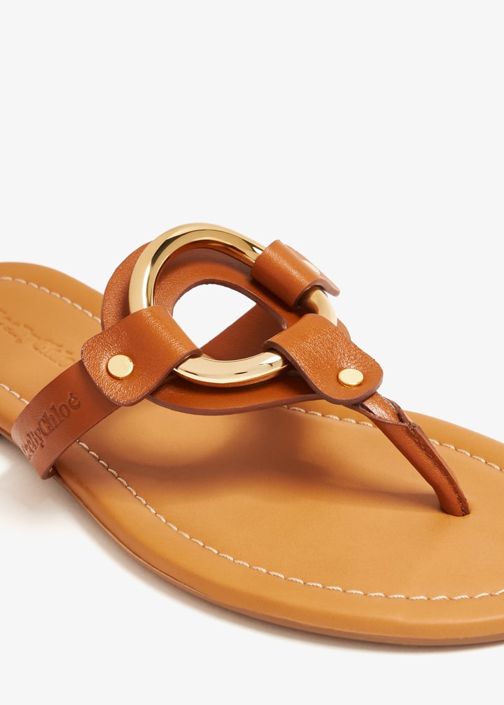 sb42081a-19003-533_3.jpg?ts=20240116030519