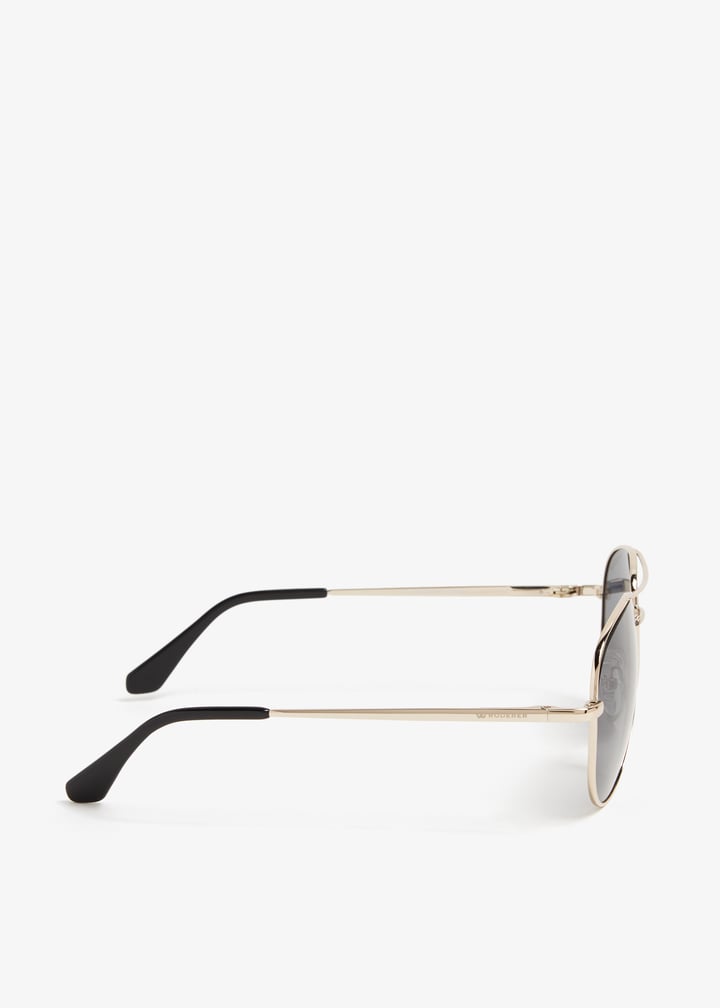 sg1-slbkgr-silgre_6.jpg?ts=20240521031519