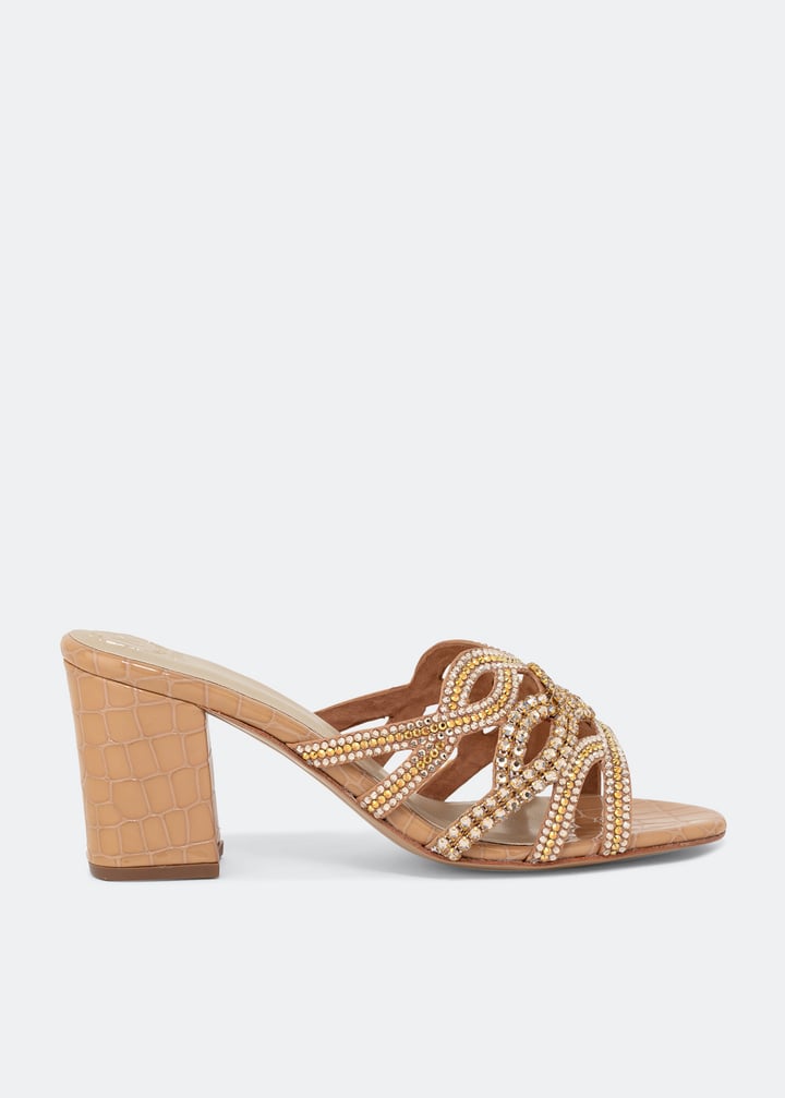 shiam-bgecro_1.jpg?ts=20220504185728