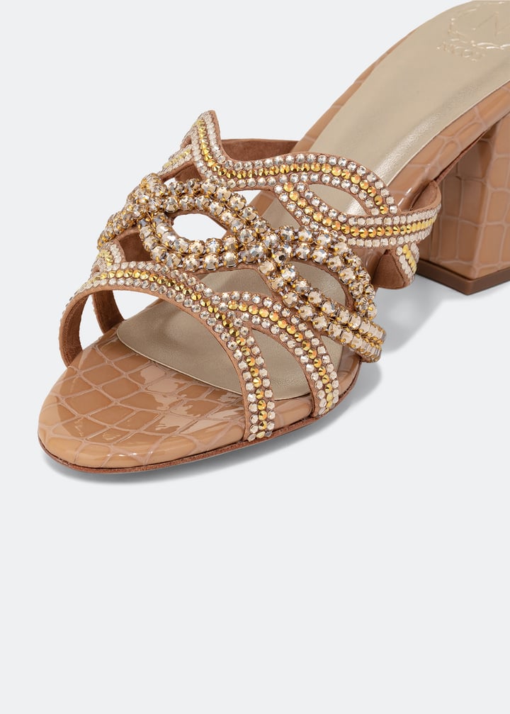 shiam-bgecro_3.jpg?ts=20220504185728