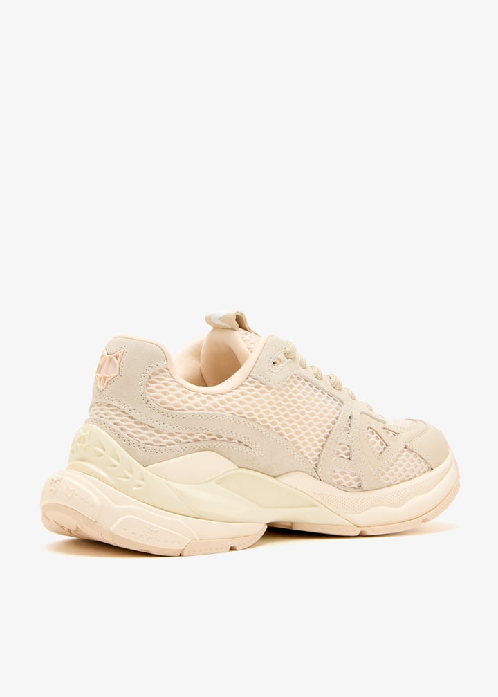 smash-00057_6.jpg?ts=20250506031003