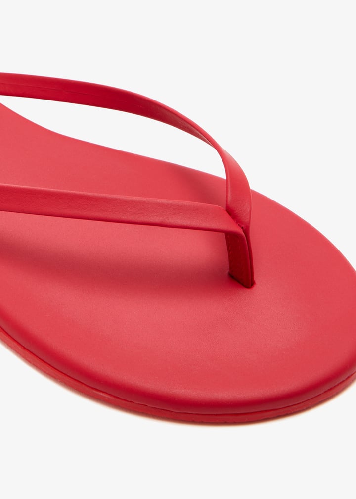 soli-no19_5.jpg?ts=20251011032209