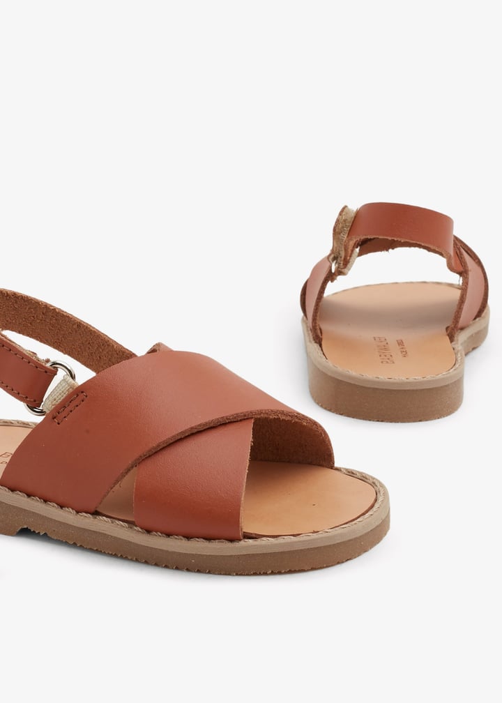 spb0023-camel_2.jpg?ts=20240820032603