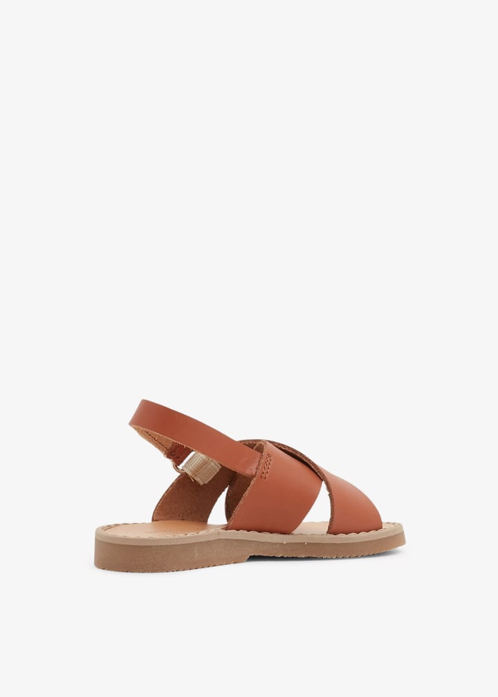 spb0023-camel_3.jpg?ts=20240820032603