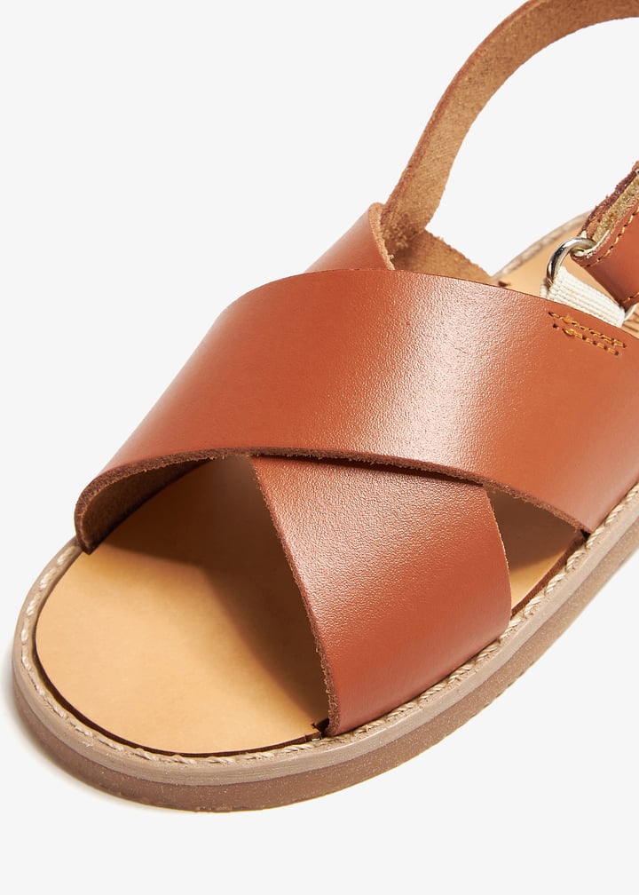 spb0023-camel_5.jpg?ts=20240820032603