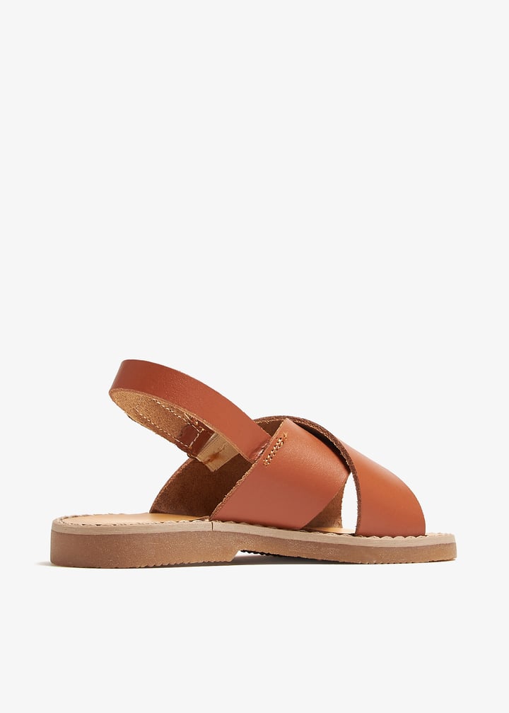 spb0023-camel_6.jpg?ts=20240820032603