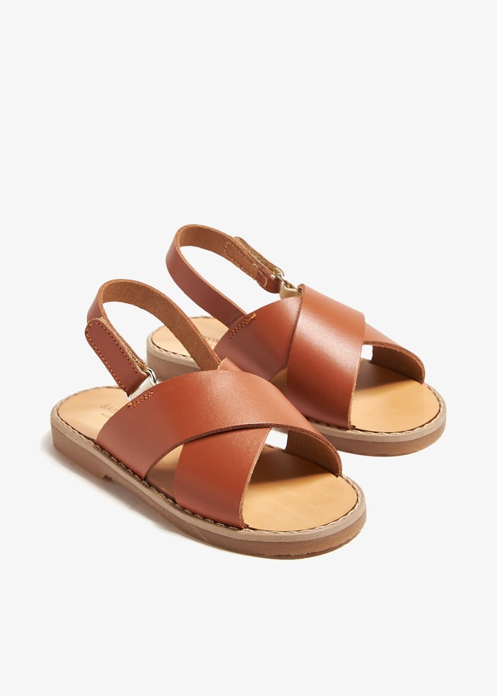 spb0023-camel_7.jpg?ts=20240820032603