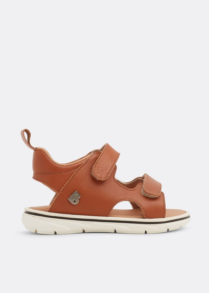 spb4202-camel_1.jpg?ts=20220505184631