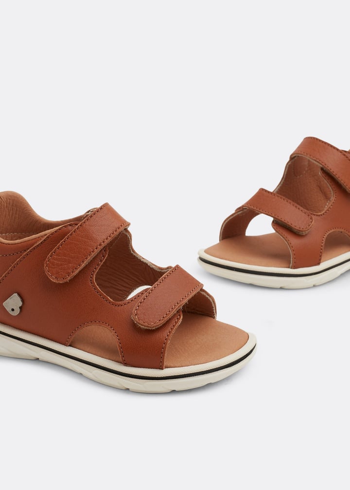 spb4202-camel_2.jpg?ts=20220505184631