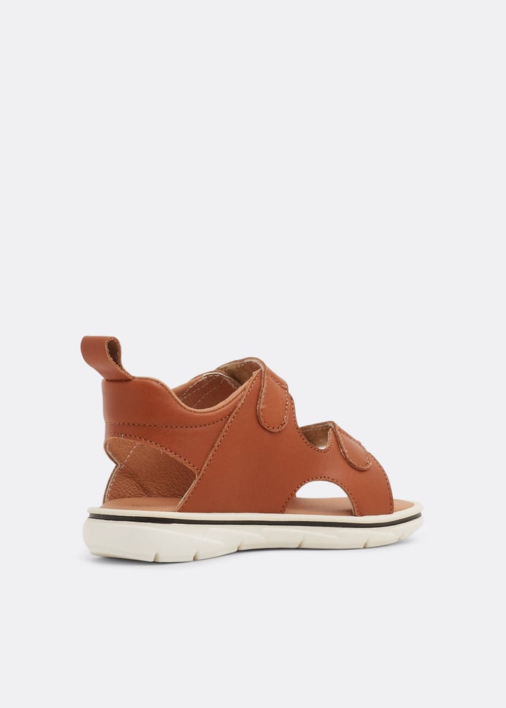 spb4202-camel_3.jpg?ts=20220505184631