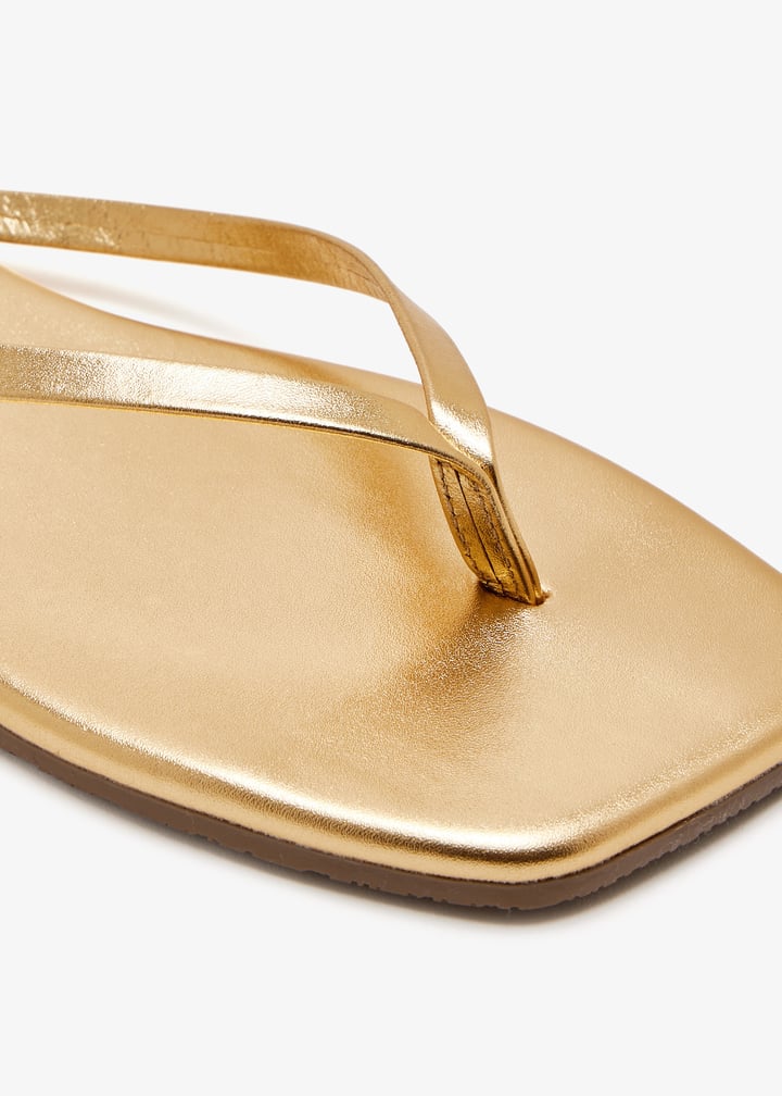 sqlil-bln_5.jpg?ts=20251011032210