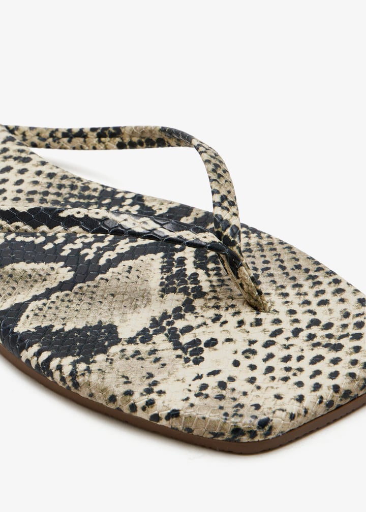 sqtxn-snl_5.jpg?ts=20251011031037