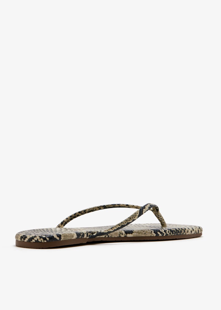 sqtxn-snl_6.jpg?ts=20251011031037