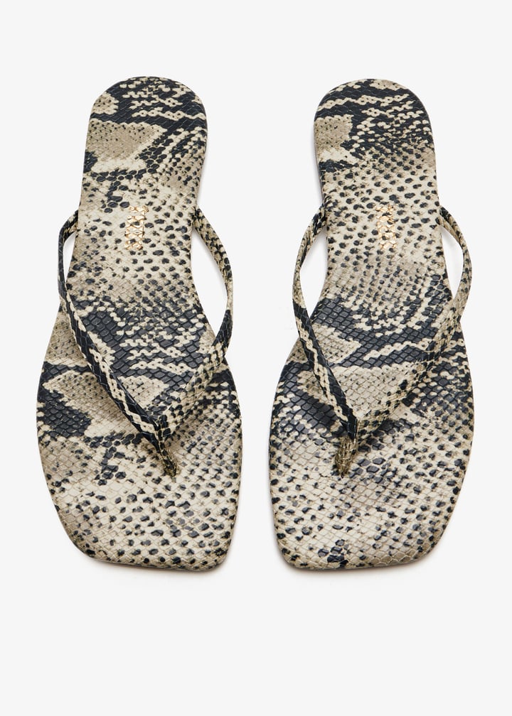 sqtxn-snl_7.jpg?ts=20251011031037