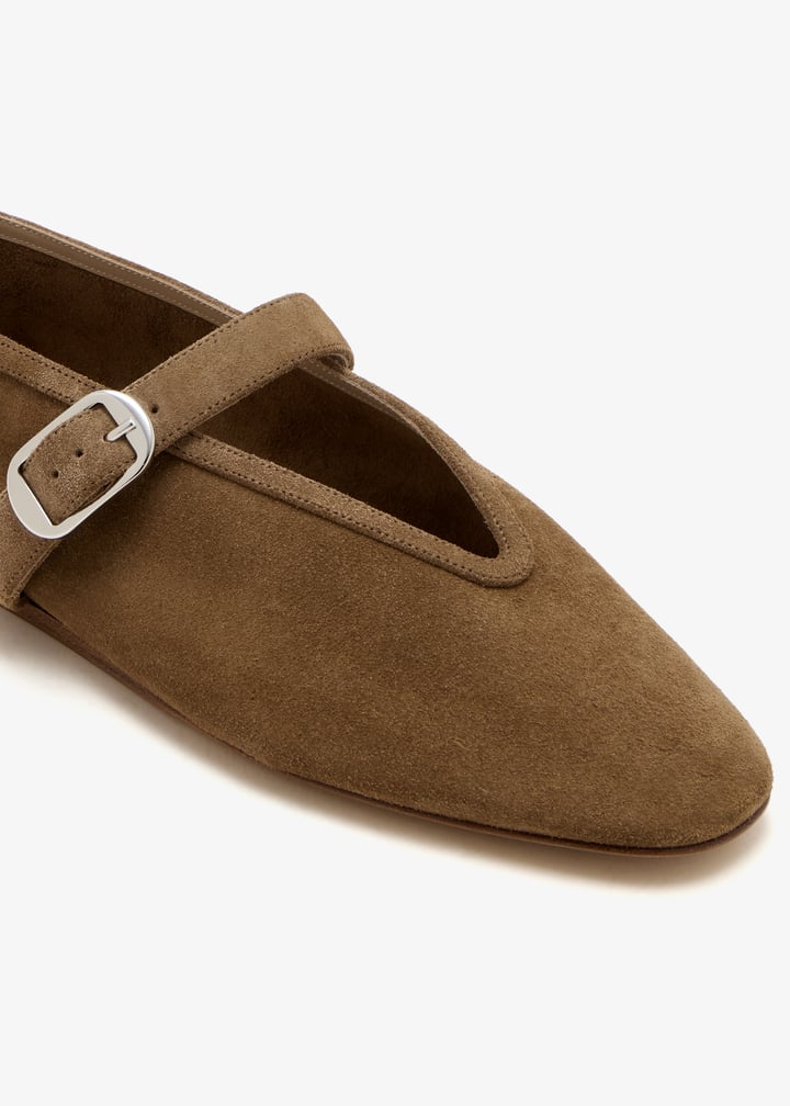 ste-sue-tau_5.jpg?ts=20260127021236