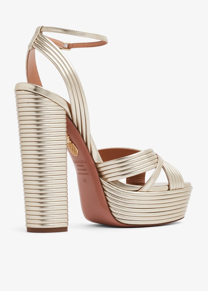 sudhigs0-lam-fd5_4.jpg?ts=20231201034049