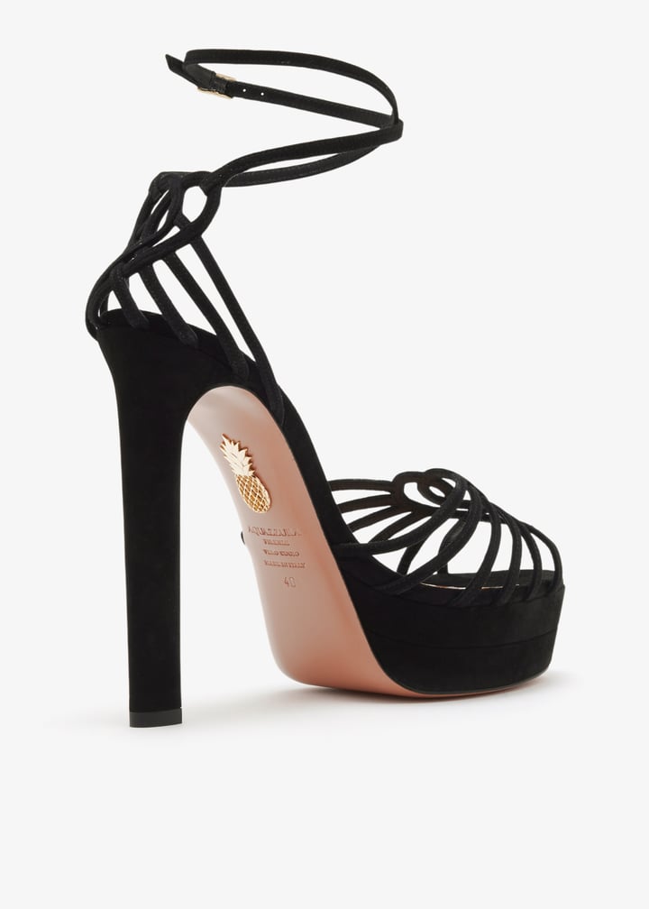 swhhigb0-sue-000_6.jpg?ts=20260129020601