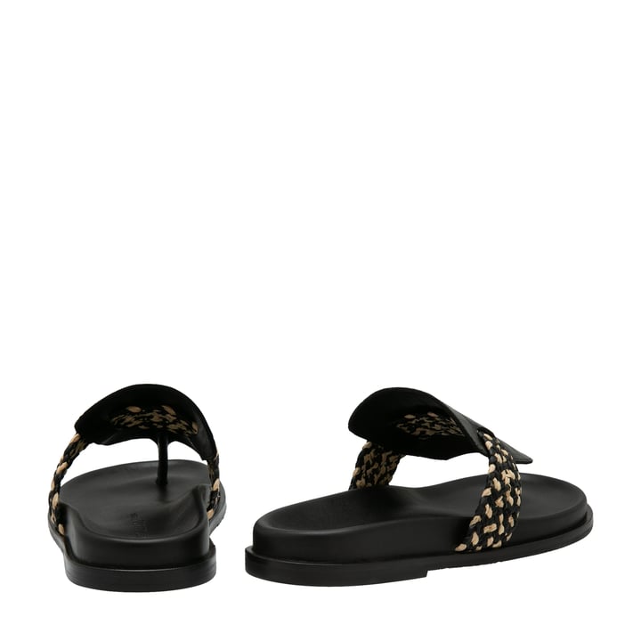 tangin-bntbco_3.jpg?ts=20220524041744