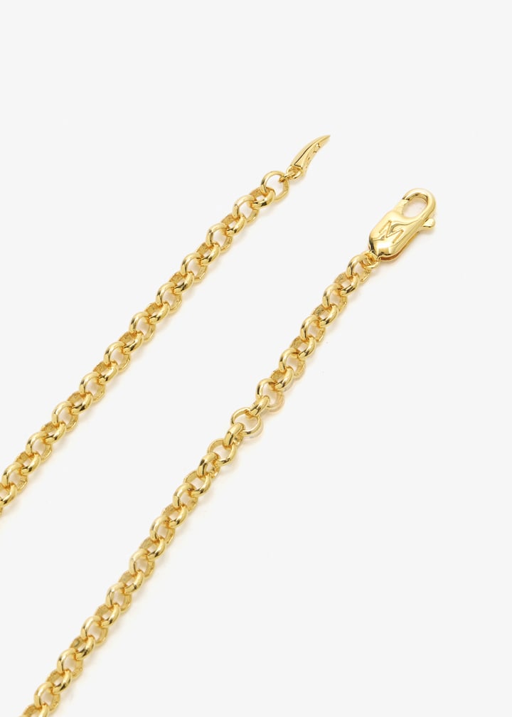 tbr-g-n5-ns-gold_6.jpg?ts=20260212020556