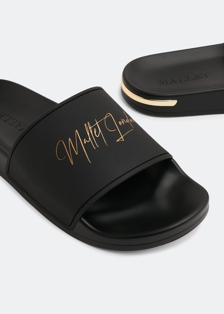 te2001-midngt_2.jpg?ts=20220913030513