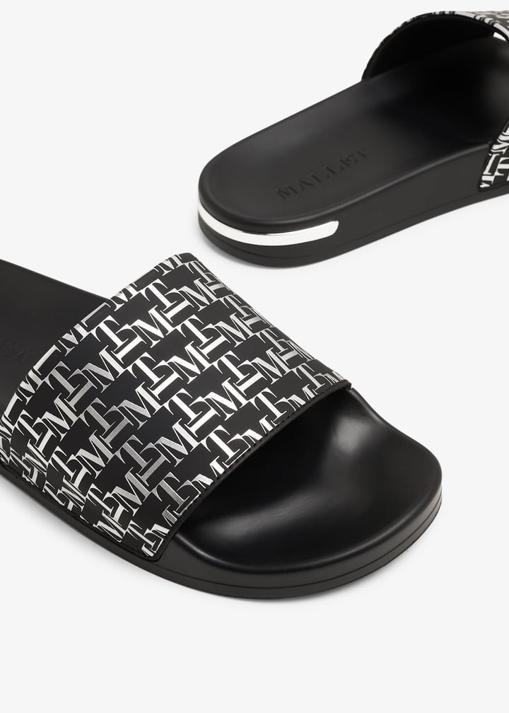 te2002-grdsil_3.jpg?ts=20231109034715