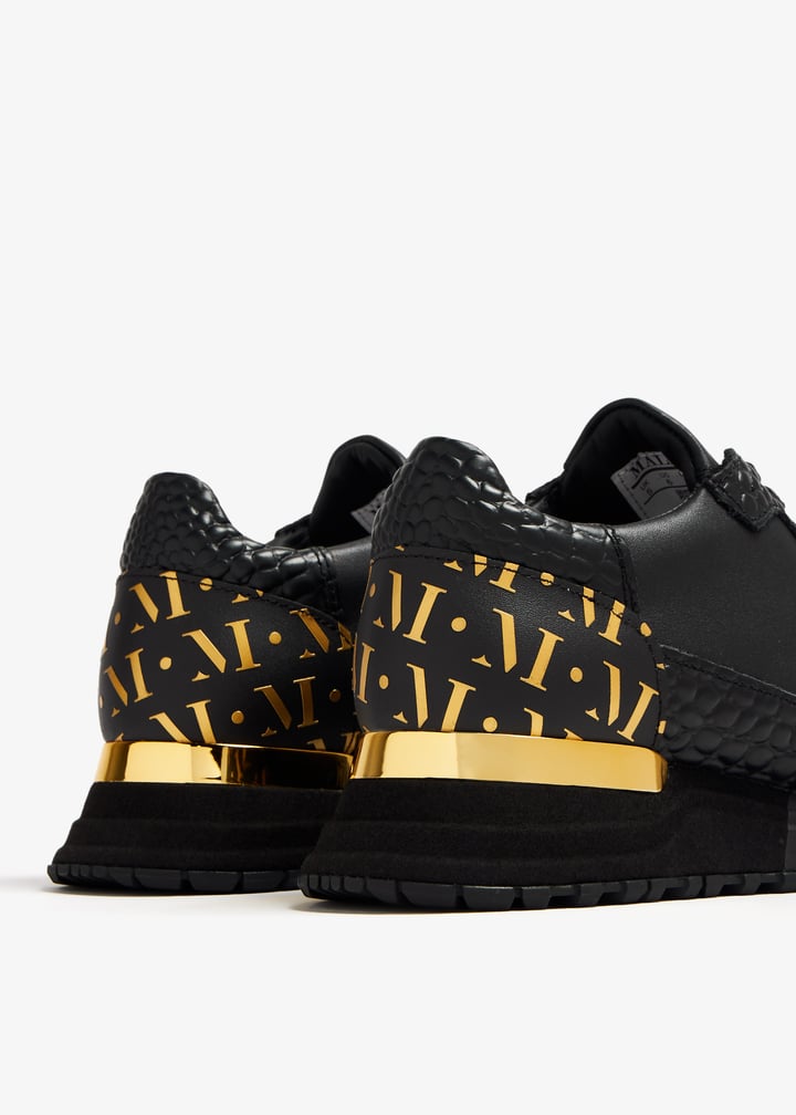 te2050-mdncrc_5.jpg?ts=20240216043542